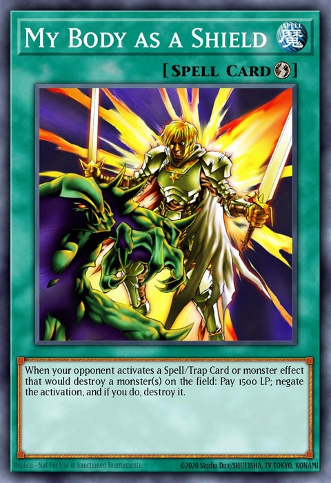 cp01-en015-mybodyasashield