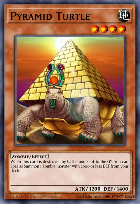 cp02-en004-pyramidturtle