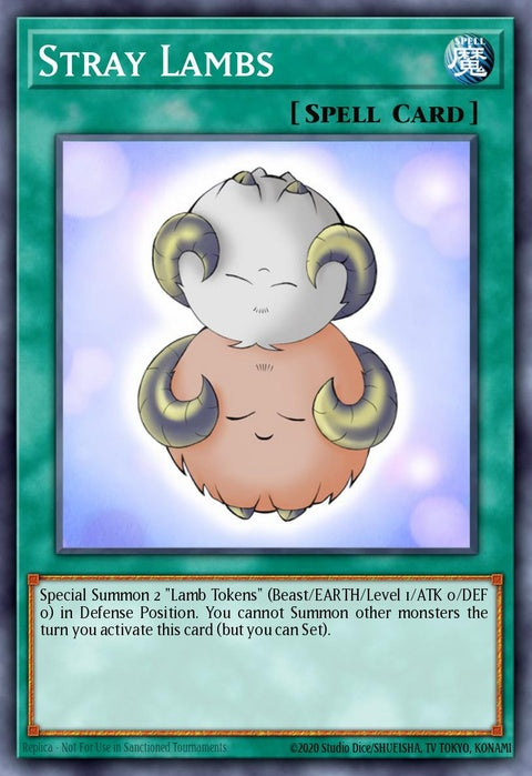 cp02-en020-straylambs