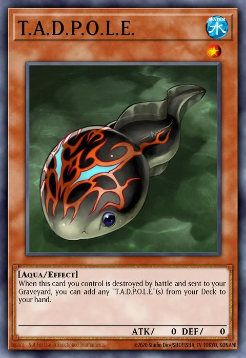 crv-en027-tadpole