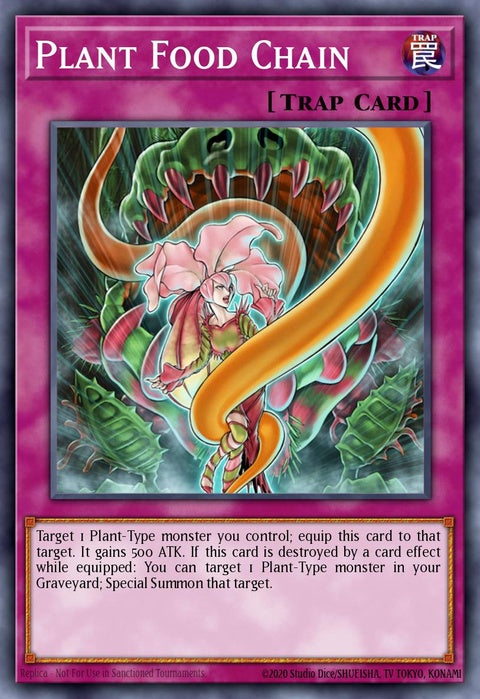 csoc-en076-plantfoodchain