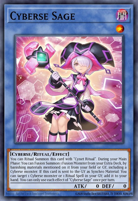 cyac-en033-cybersesage