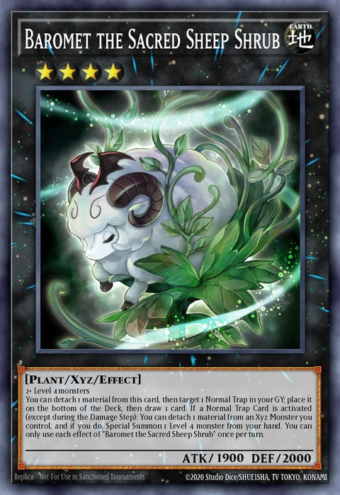 cyac-en097-barometthesacredsheepshrub