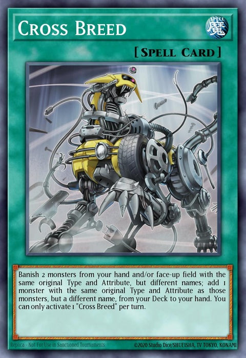 cyho-en066-crossbreed