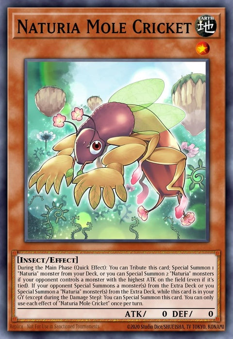 dabl-en020-naturiamolecricket