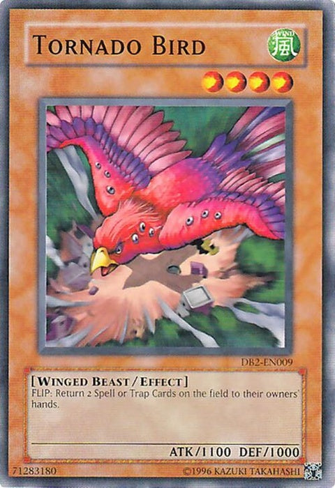 db2-en009-tornadobird