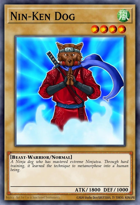 dcr-002-ninkendog
