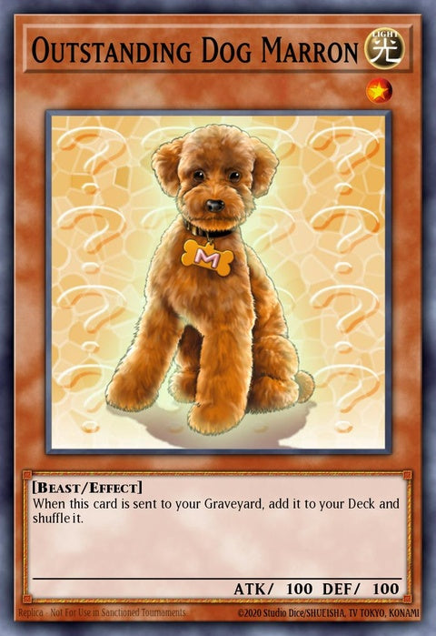 dcr-062-outstandingdogmarron