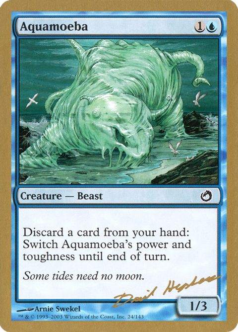 dh24-aquamoeba