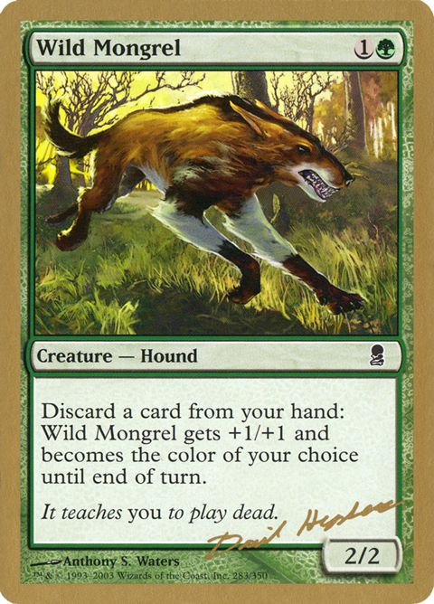 dh283-wildmongrel