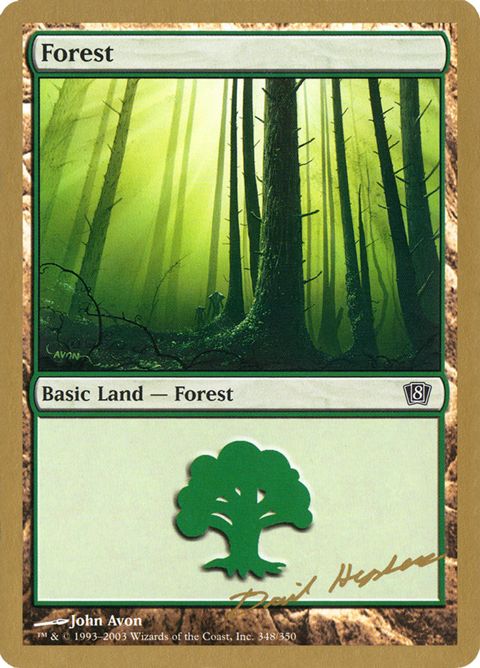 dh348-forest