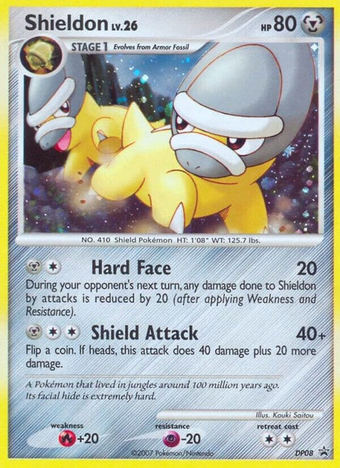dp08-shieldon