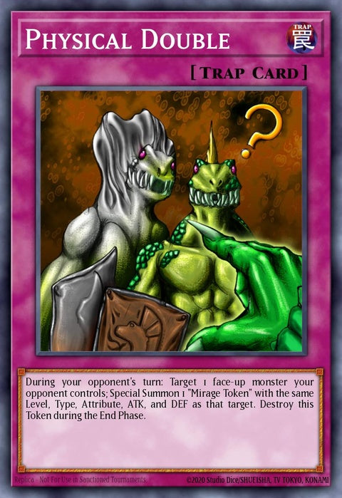 dr1-en102-physicaldouble