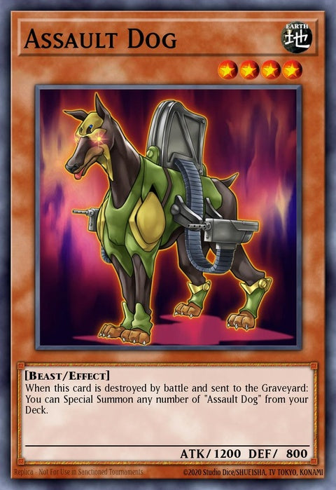 drlg-en033-assaultdog