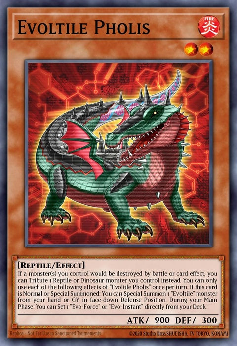 dune-en017-evoltilepholis