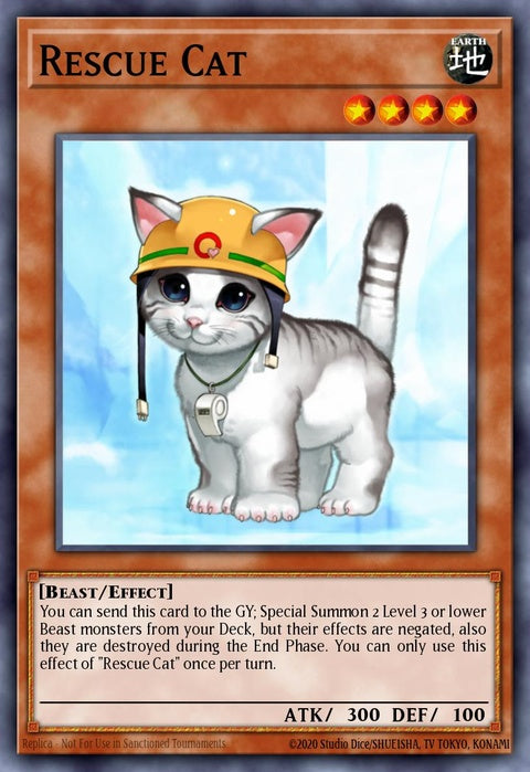 dusa-en072-rescuecat