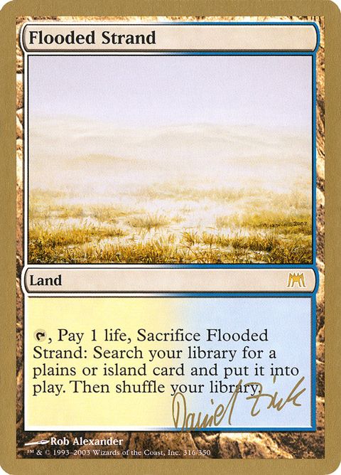 dz316-floodedstrand