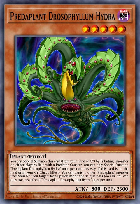 fuen-en002-predaplantdrosophyllumhydra