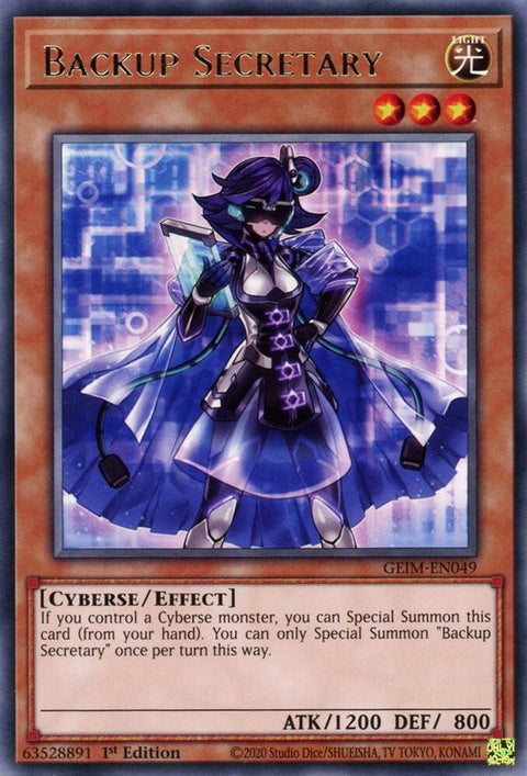 geim-en049-backupsecretary