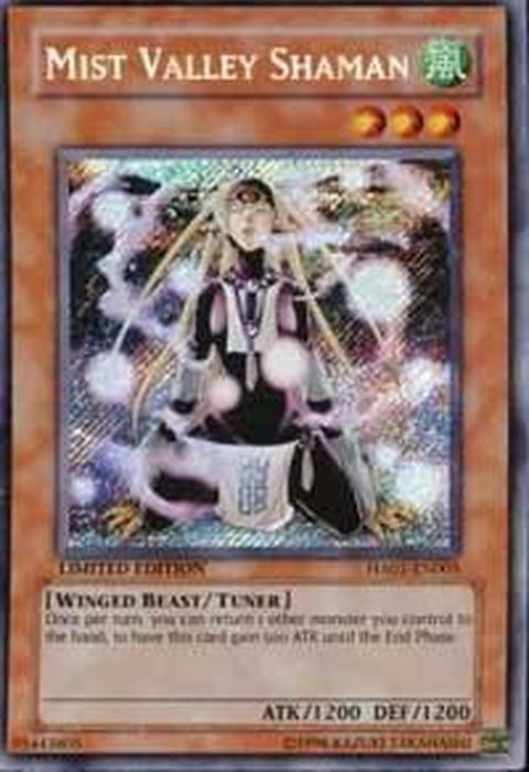 ha01-en005-mistvalleyshaman