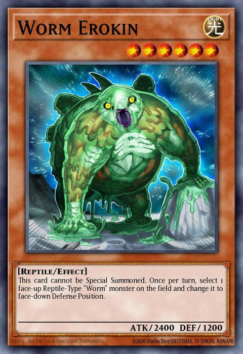 ha01-en021-wormerokin