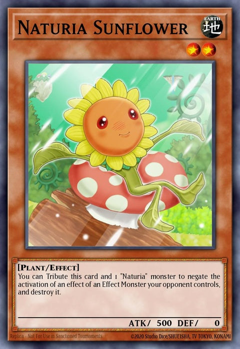 ha03-en011-naturiasunflower