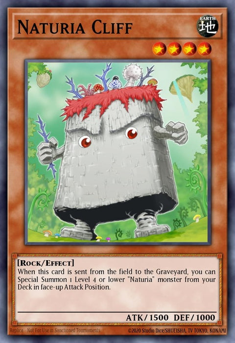 ha03-en012-naturiacliff