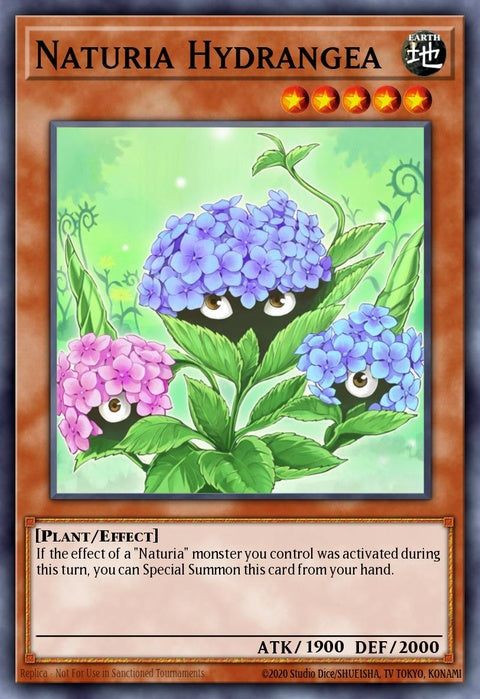 ha03-en044-naturiahydrangea