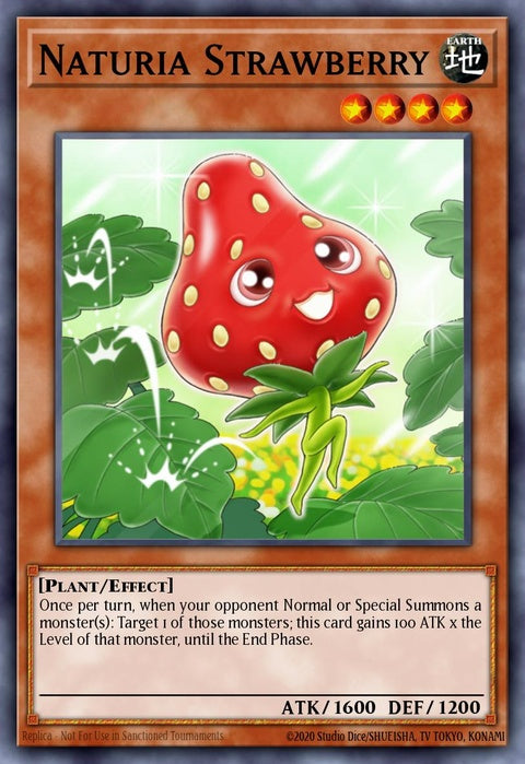 ha04-en021-naturiastrawberry