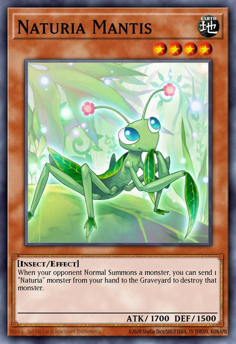 ha04-en049-naturiamantis