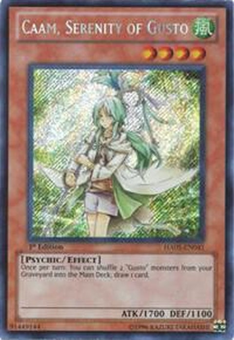 ha05-en041-caamserenityofgusto