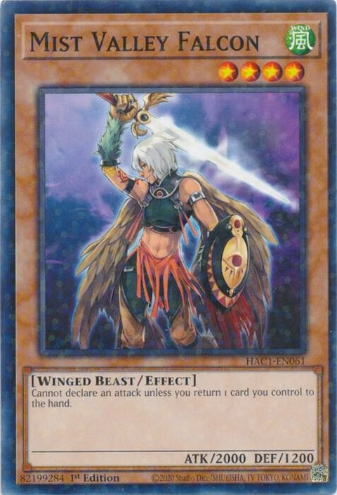 hac1-en061-mistvalleyfalconduelterminal