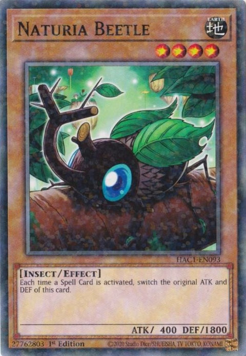 hac1-en093-naturiabeetleduelterminal