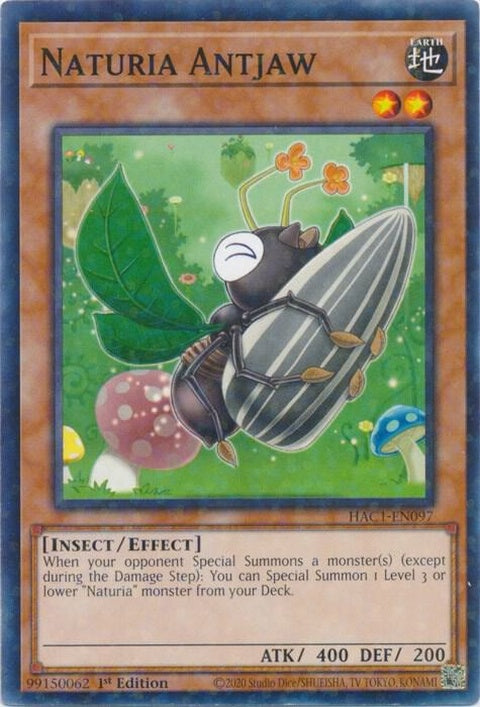 hac1-en097-naturiaantjawduelterminal