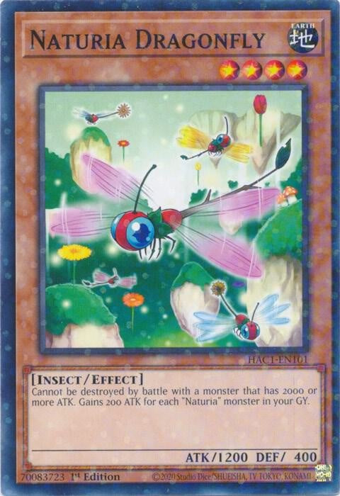 hac1-en101-naturiadragonflyduelterminal