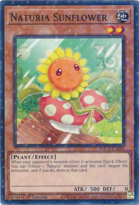 hac1-en102-naturiasunflowerduelterminal