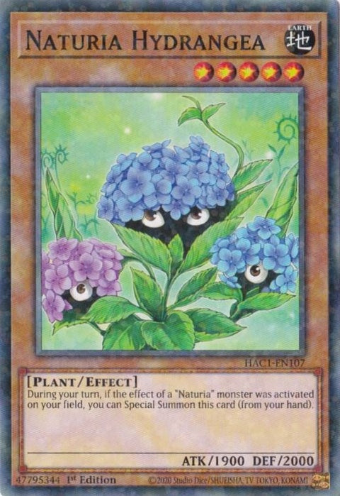 hac1-en107-naturiahydrangeaduelterminal