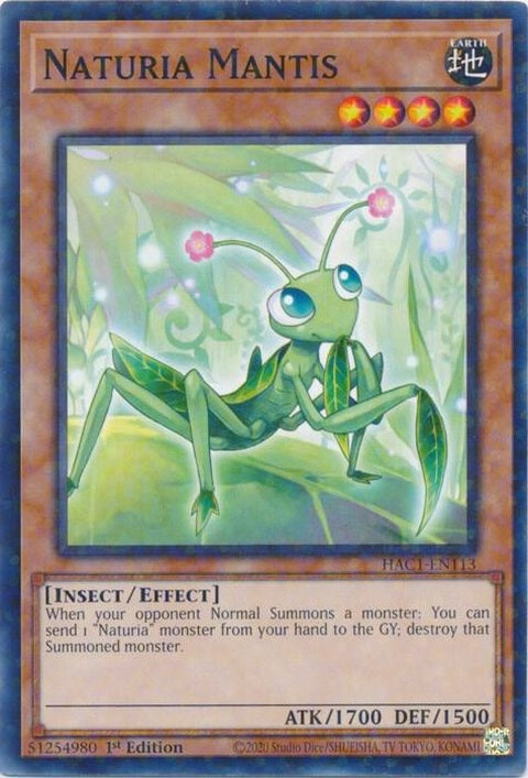 hac1-en113-naturiamantisduelterminal