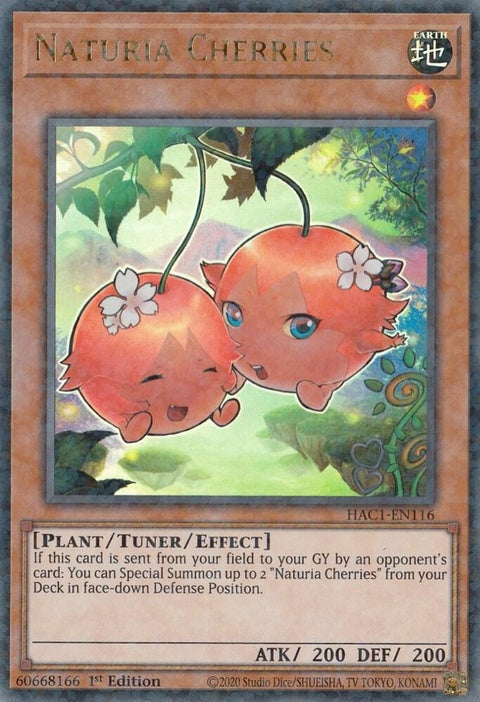 hac1-en116-naturiacherriesduelterminal