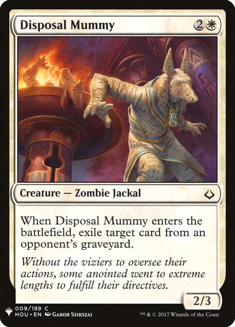 HOU-9-disposalmummy