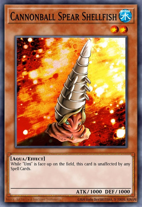 ioc-en085-cannonballspearshellfish