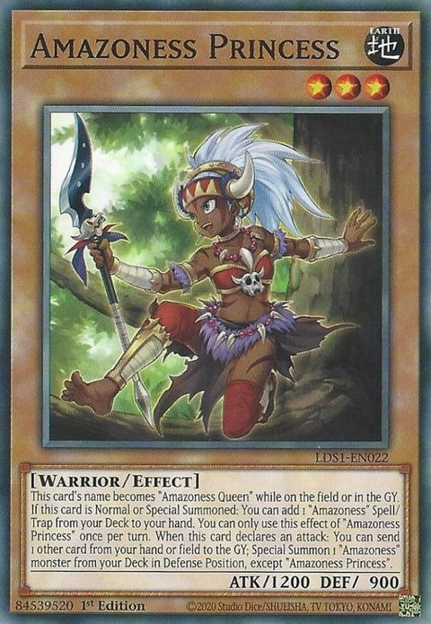 lds1-en022-amazonessprincess