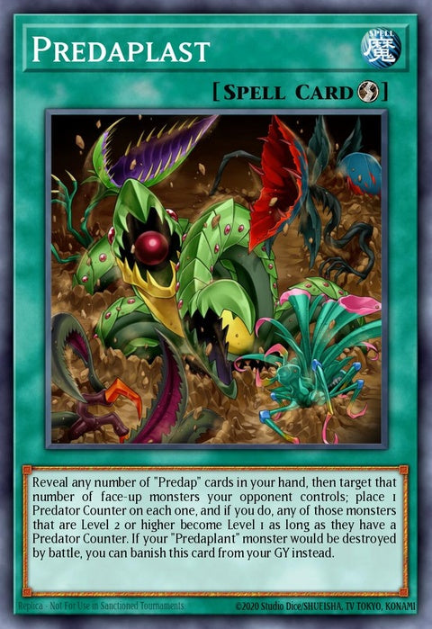 lds3-en078-predaplast