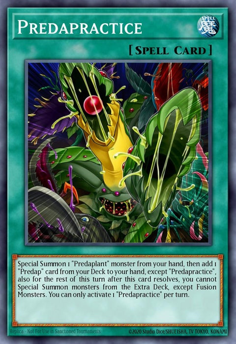 lds3-en079-predapracticeblue