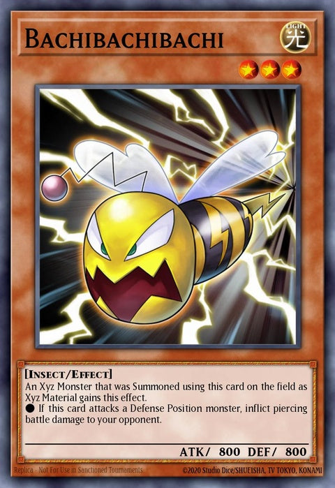 ltgy-en001-bachibachibachi