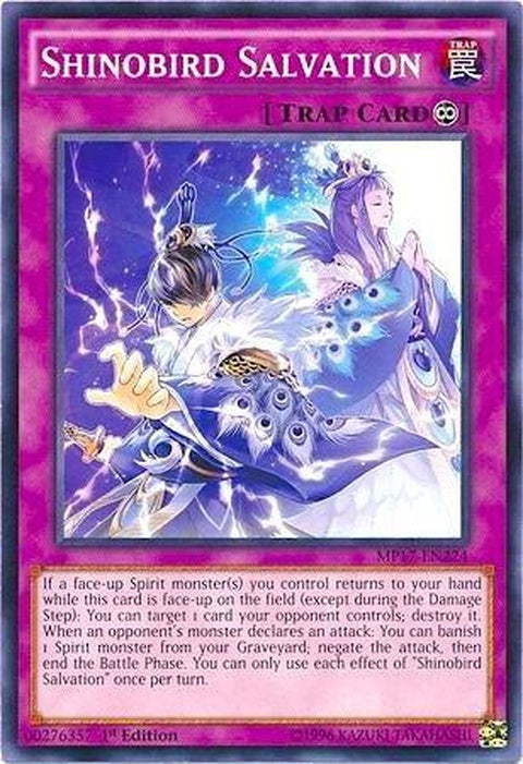 mp17-en224-shinobirdsalvation