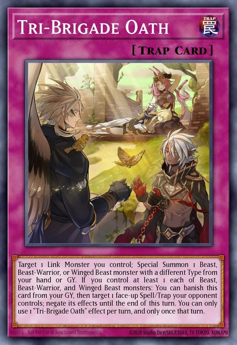 mp21-en213-tribrigadeoath