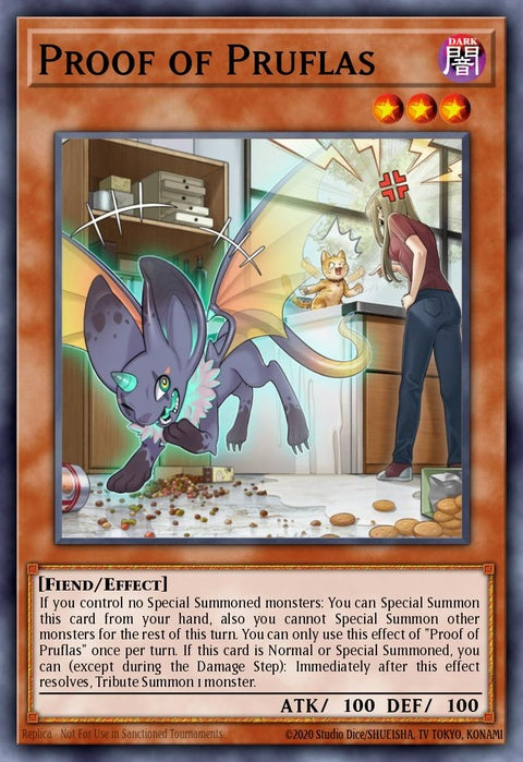 mp22-en105-proofofpruflas