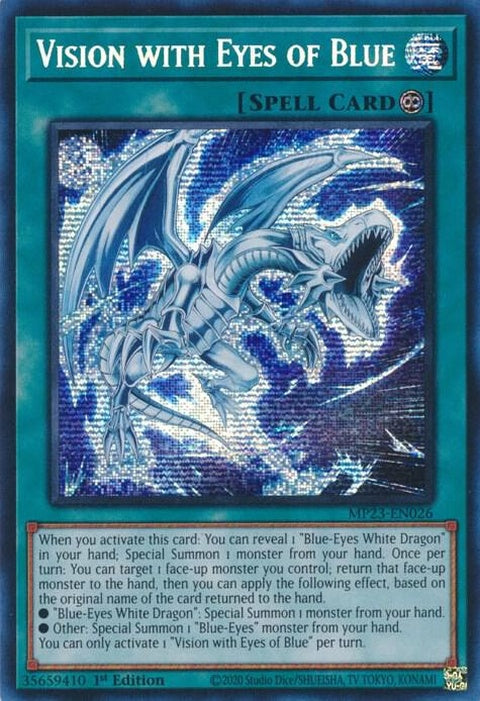 mp23-en026-visionwitheyesofblue