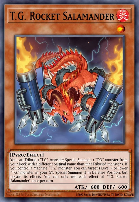 mp24-en233-tgrocketsalamander